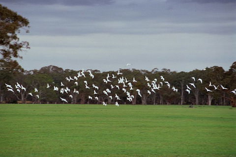 Grampians & Halls Gap - Accommodation Brunswick Heads 24