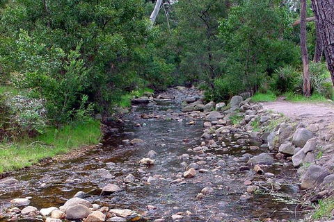 Grampians & Halls Gap - Accommodation Brunswick Heads 9
