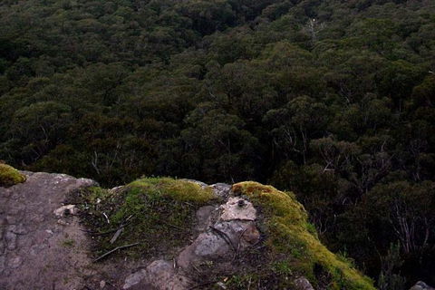 Grampians & Halls Gap - Accommodation Brunswick Heads 22