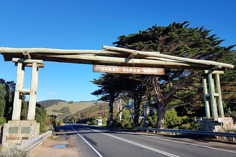 Great Ocean Road Adventure - Private Tour - Reverse - Accommodation Brunswick Heads 5
