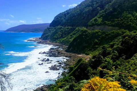 Great Ocean Road Adventure - Private Tour - Reverse - Accommodation Brunswick Heads 3