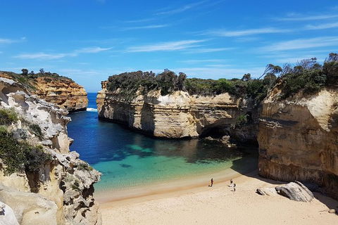 Great Ocean Road Adventure - Private Tour - Reverse - Accommodation Brunswick Heads 11