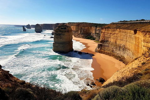 Great Ocean Road Adventure - Private Tour - Reverse - Accommodation Brunswick Heads 2