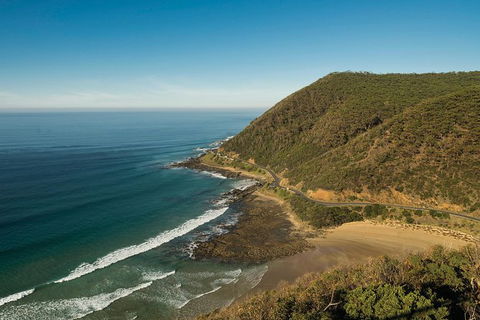 Great Ocean Road Adventure - Private Tour - Reverse - Accommodation Brunswick Heads 12