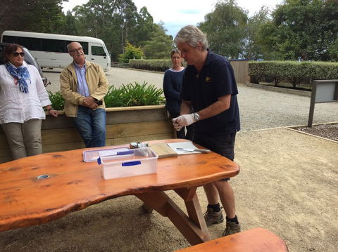 Bruny Island All Inclusive Gourmet Day Trip From Hobart - Accommodation Brunswick Heads 17