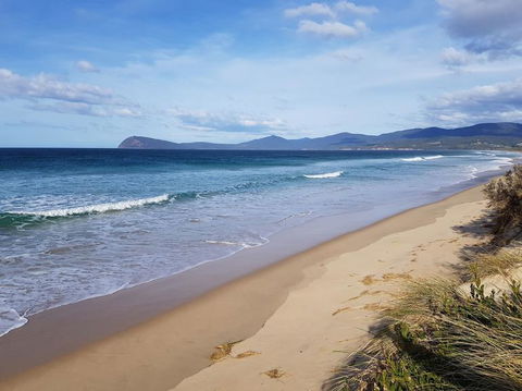 Bruny Island All Inclusive Gourmet Day Trip From Hobart - Accommodation Brunswick Heads 6