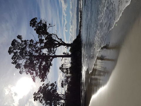 Bruny Island All Inclusive Gourmet Day Trip From Hobart - Accommodation Brunswick Heads 5