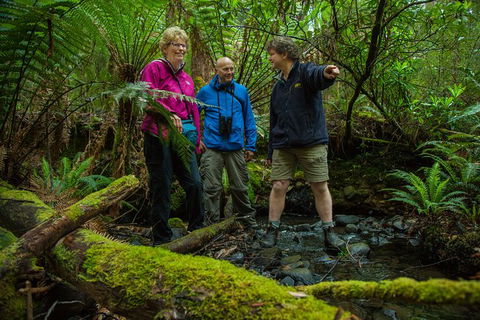 Bruny Island All Inclusive Gourmet Day Trip From Hobart - Accommodation Brunswick Heads 28
