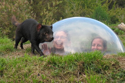 Small-Group Tour From Hobart: Tasmania Convict Trail And Port Arthur Day Trip - Accommodation Brunswick Heads 3