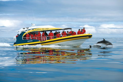 3-Hour Tasman Peninsula Wilderness Cruise From Port Arthur - Accommodation Brunswick Heads 5
