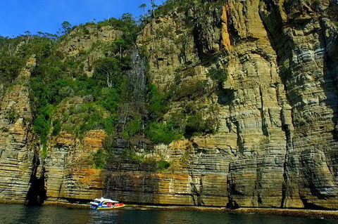 3-Hour Tasman Peninsula Wilderness Cruise From Port Arthur - Accommodation Brunswick Heads 7
