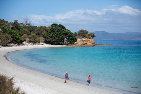 Maria Island Active Day Trip From Hobart - Accommodation Brunswick Heads 1
