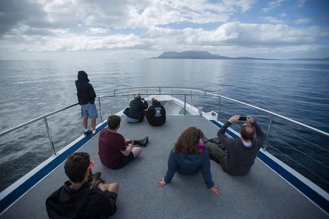 Maria Island Active Day Trip From Hobart - Accommodation Brunswick Heads 13