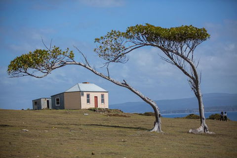 Maria Island Active Day Trip From Hobart - Accommodation Brunswick Heads 3