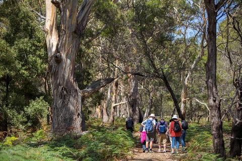 Maria Island Active Day Trip From Hobart - Accommodation Brunswick Heads 12