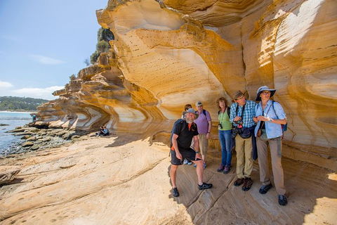 Maria Island Active Day Trip From Hobart - Accommodation Brunswick Heads 7