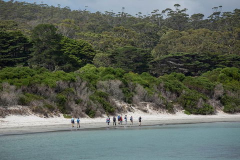 Maria Island Active Day Trip From Hobart - Accommodation Brunswick Heads 11