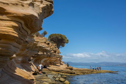 Maria Island Active Day Trip From Hobart - Accommodation Brunswick Heads 5