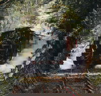 West Coast Wilderness Railway River and Rainforest from Strahan - Accommodation Brunswick Heads