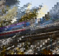 West Coast Wilderness Railway Queenstown Explorer from Strahan - Accommodation Brunswick Heads