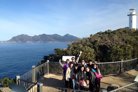 3-Day Tasmania Combo: Hobart To Launceston Active Tour - Accommodation Brunswick Heads 0