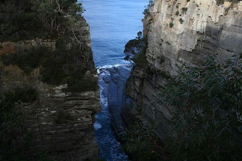 Cruise Ship Special From Port Arthur: Explore Tasman Peninsula With Free WiFi - Accommodation Brunswick Heads 1