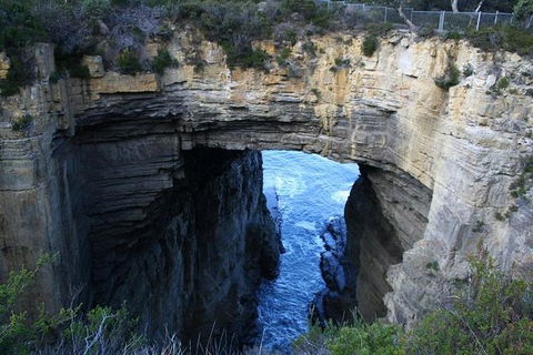 Cruise Ship Special From Port Arthur: Explore Tasman Peninsula With Free WiFi - Accommodation Brunswick Heads 0