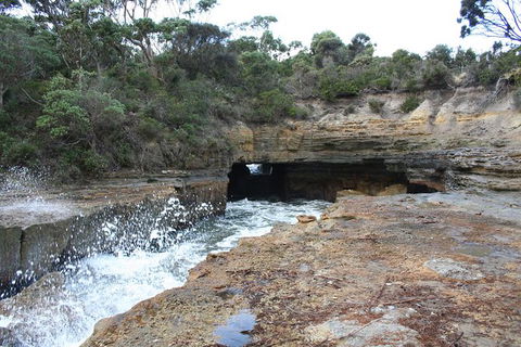 Cruise Ship Special From Port Arthur: Explore Tasman Peninsula With Free WiFi - Accommodation Brunswick Heads 7