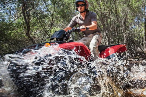 Half-Day Guided ATV Exploration Tour From Coles Bay - Accommodation Brunswick Heads 5