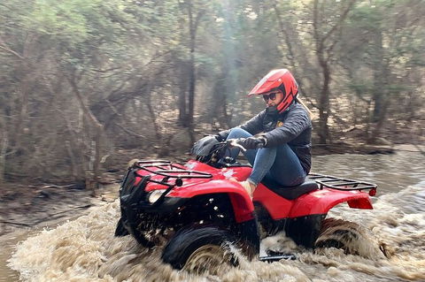 Half-Day Guided ATV Exploration Tour From Coles Bay - Accommodation Brunswick Heads 7
