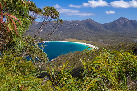 4x4 And Lunch Full Day Freycinet And Wineglass Bay - Accommodation Brunswick Heads 1