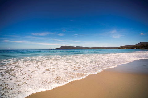 Private Bruny Island Nature Day Trip From Hobart - Accommodation Brunswick Heads 1