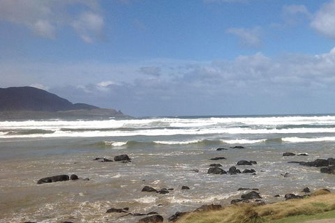 Private Bruny Island Nature Day Trip From Hobart - Accommodation Brunswick Heads 0