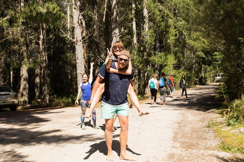 7-Day Best Of Tasmania Adventure Experience From Hobart (flexible Ticket) - Accommodation Brunswick Heads 5