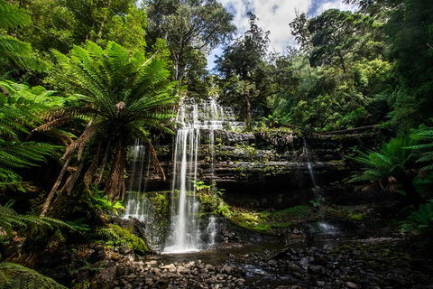 7-Day Best Of Tasmania Adventure Experience From Hobart (flexible Ticket) - Accommodation Brunswick Heads 3