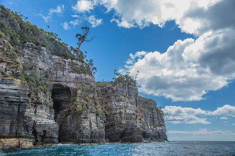 Shore Excursion - Port Arthur - Tasman Peninsula - Accommodation Brunswick Heads 1