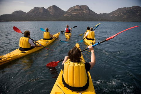 The Freycinet Paddle - Accommodation Brunswick Heads 5