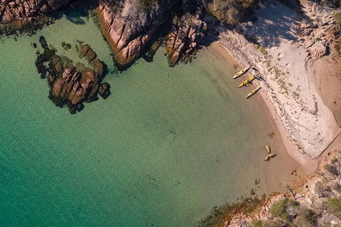 The Freycinet Paddle - Accommodation Brunswick Heads 3