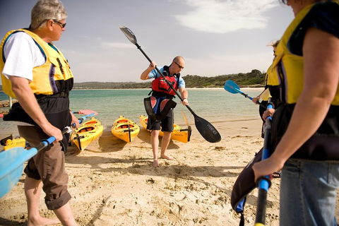 The Freycinet Paddle - Accommodation Brunswick Heads 7
