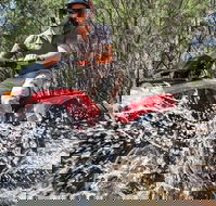 Quad Bike 2-Hour Adventure Freycinet National Park - Accommodation Brunswick Heads