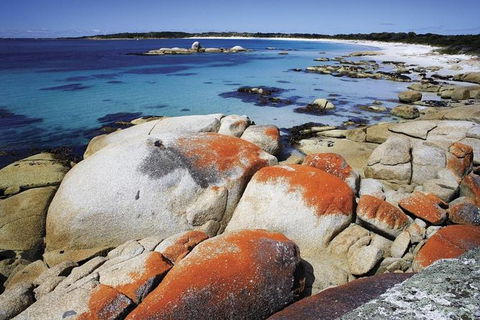Highlights Of Tasmania 5-Day Small-Group Tour From Hobart - Accommodation Brunswick Heads 1