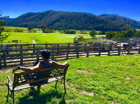 5-Day Lap Of Tasmania Tour From Hobart (flexible Ticket) - Accommodation Brunswick Heads 2