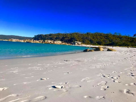 5-Day Lap Of Tasmania Tour From Hobart (flexible Ticket) - Accommodation Brunswick Heads 6