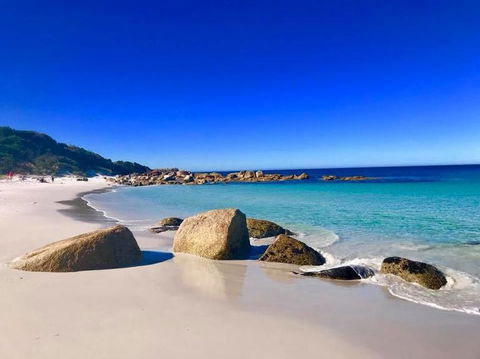 5-Day Lap Of Tasmania Tour From Hobart (flexible Ticket) - Accommodation Brunswick Heads 5