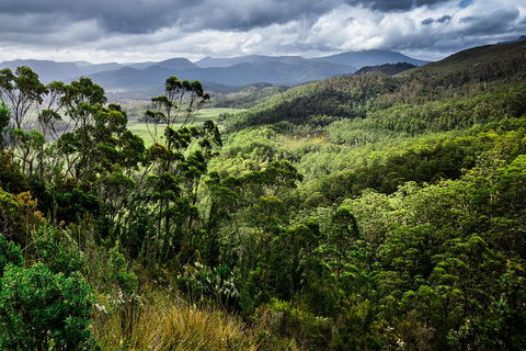 5-Day Lap Of Tasmania Tour From Hobart (flexible Ticket) - Accommodation Brunswick Heads 16