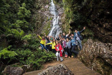 5-Day Lap Of Tasmania Tour From Hobart (flexible Ticket) - Accommodation Brunswick Heads 14