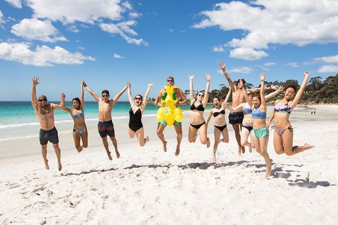 5-Day Lap Of Tasmania Tour From Hobart (flexible Ticket) - Accommodation Brunswick Heads 10