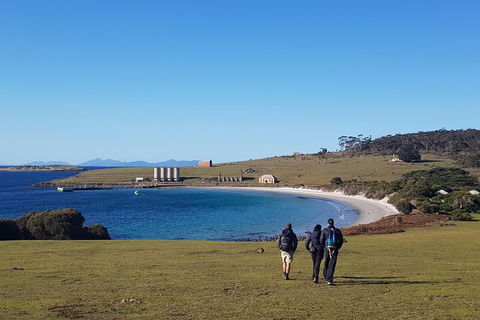 6-Day Best Of Tasmania Hiking Tour From Hobart - Accommodation Brunswick Heads 1