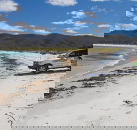4X4 and Lunch Half Day Bicheno Coastal Mountain - Accommodation Brunswick Heads