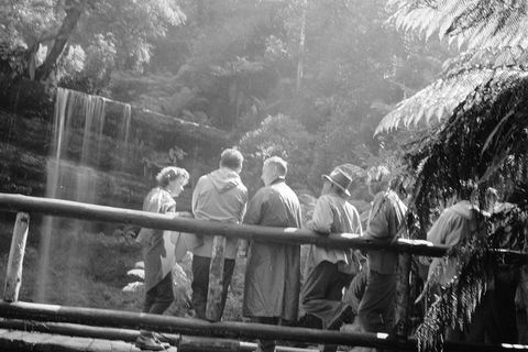 Guided Shore Excursion: Mt Field National Park Salmon Ponds Bonorong Wildlife - Accommodation Brunswick Heads 1